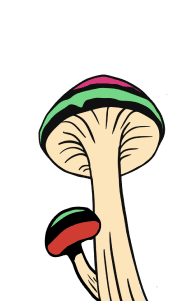 mushrooms